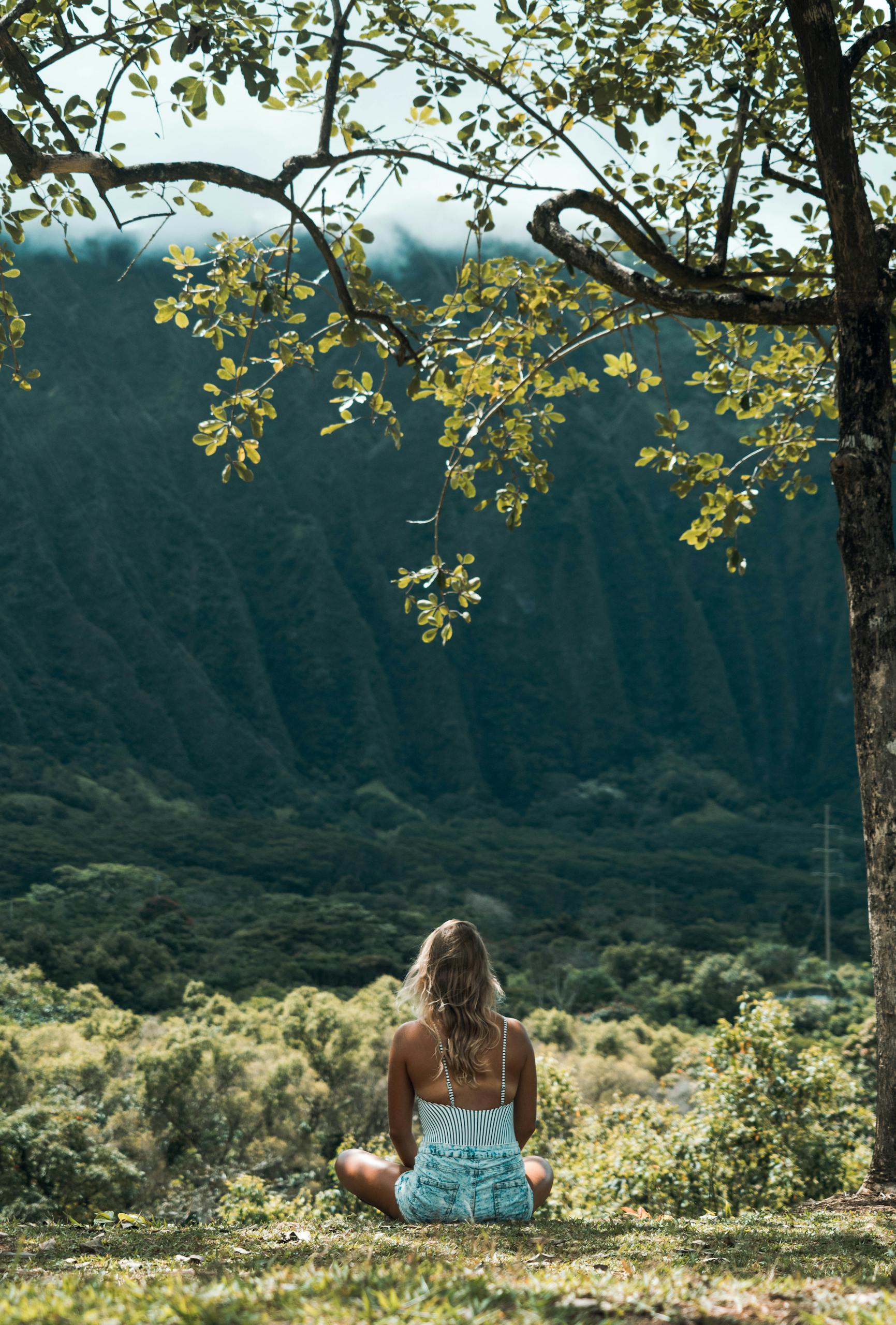 A woman sits in meditation under a tree, overlooking a tranquil mountain valley, embracing nature's calm.